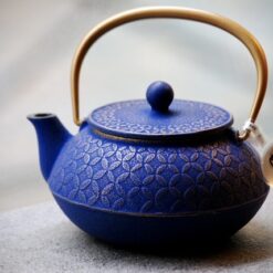 Théière japonaise en fonte