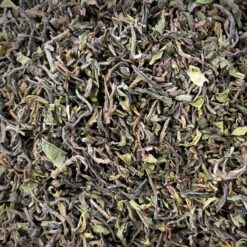 Darjeeling Steinthal 2023 first flush