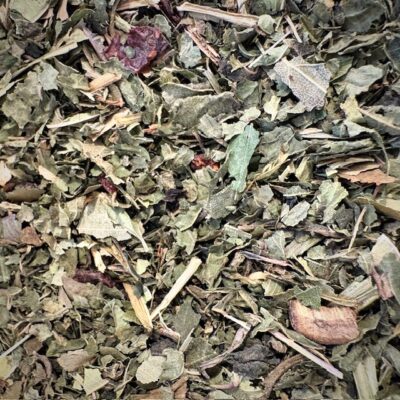 Serment des Druides Bio