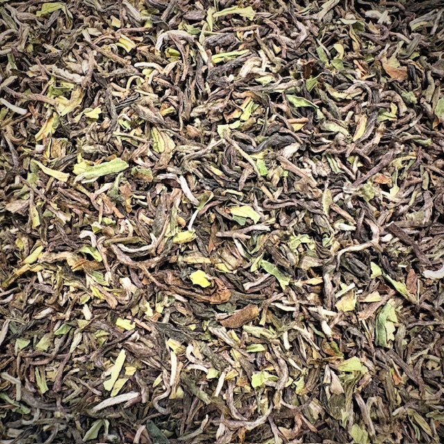 Darjeeling Steinthal First Flush 2026 Bio
