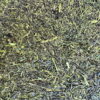Oboro Sencha Okuyutaka